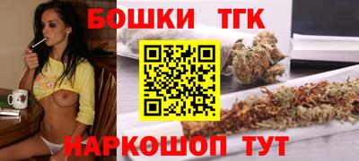 хмурый Бийск