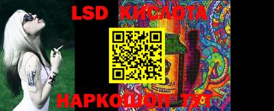 крисы Берёзовский
