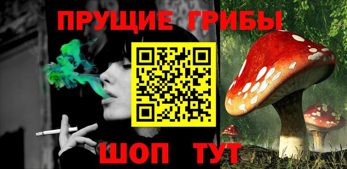 Псилоцибиновые грибы прущие грибы Вичуга